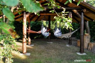 Tomasz_Frysztak_palmy_Łuczyna_DSC_2055