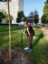 dęby_katyńskiedęby_004-003