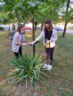 dęby_katyńskiedęby_007-004