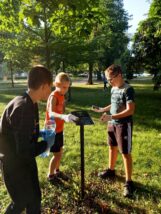 dęby_katyńskiedęby_015-006