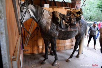 konno_nad_Baltyk_Karbowniczak_Dardziński_DSC_3184