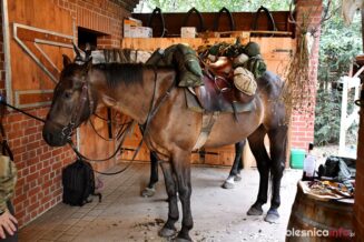 konno_nad_Baltyk_Karbowniczak_Dardziński_DSC_3198