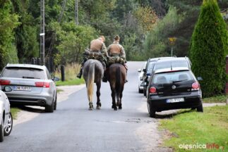 konno_nad_Baltyk_Karbowniczak_Dardziński_DSC_3319