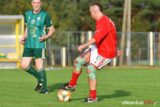 Gawin_Królewska_Wola_Śląsk_Wrocław_DSC_3765