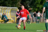 Gawin_Królewska_Wola_Śląsk_Wrocław_DSC_3796