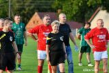 Gawin_Królewska_Wola_Śląsk_Wrocław_DSC_3829