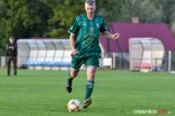 Gawin_Królewska_Wola_Śląsk_Wrocław_DSC_3848