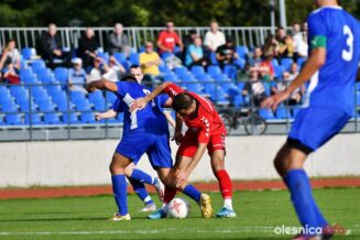 Pogoń_Oleśnica_Wiwa_Goszcz_DSC_3621