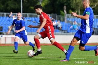 Pogoń_Oleśnica_Wiwa_Goszcz_DSC_3660