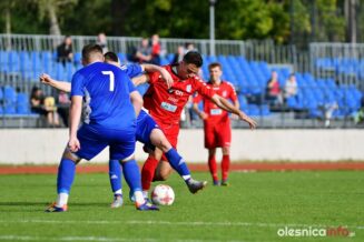 Pogoń_Oleśnica_Wiwa_Goszcz_DSC_3677