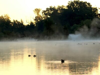 Miejski Ośrodek Kultury i Sztuki rozstrzygnął konkurs fotograficzny