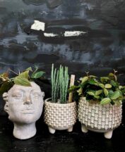 cuda_miłostki131068315_1090172541416202_5641411043150811791_n