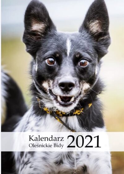 Wesprzyj Oleśnickie Bidy i kup kalendarz na 2021