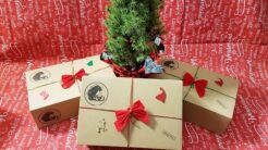 kawa130113719_878949372913850_871731274748855750_n