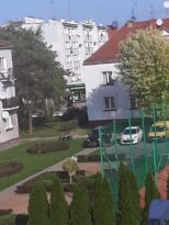 mistrzowie-parkowaniaauto10