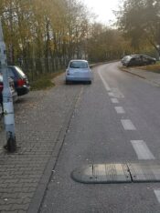 mistrzowie-parkowaniaauto17