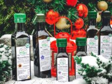 oleje130968308_314082916399254_3002273880919298149_n