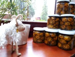 sery130299539_3492251980844659_7035162366261891472_o