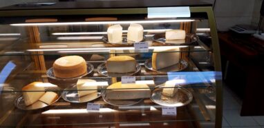 sery81387547_2632922390110960_4886511475230769152_o