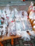 smolna_antoś131225375_1067445577061711_7337394593051626032_n
