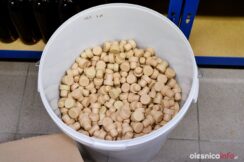 malinowy_nosmalinowy_nos_DSC_7989