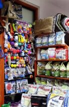 Seminex_zoologiczne_20210217