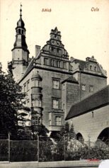 zamek_oleśnicaZamek_Ksiazat_Olesnickich_145399_Fotopolska-Eu-011