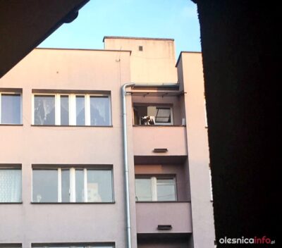 Chłopiec chciał wyrzucić kota przez okno. Sąsiadka wszczęła alarm