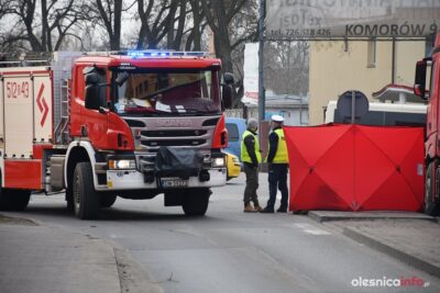 Kobieta zginęła na pasach. Policja: kierowca nie miał szans, by zobaczyć pieszą