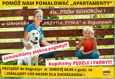 Pomalują pawilon dla psów seniorów z Przytul Pyska