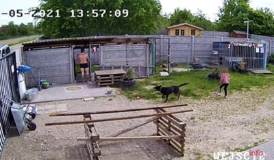 Najpierw kąpał się w stawie, potem wszedł z dziećmi po dachu do azylu. Oleśnickie Bidy: To skrajna nieodpowiedzialność