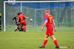 Widawa_Bierutów_DSC_0130_20210504