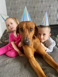 dzieci_olesnica193235339_2921953464739679_6452846396823379218_n-20210531