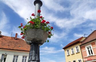 klomby_kwiaty_Twardogóra_189089895_1708435462682691_3729182586072452624_n_20210525