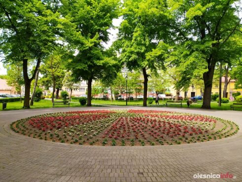 klomby_kwiaty_Twardogóra_190462810_1708435722682665_8975281040155101172_n_20210525