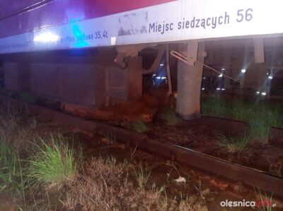 Strażacy o niecodziennej akcji ratowniczej w Bierutowie