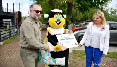 Kwietna łąka, ule i hotele dla owadów w sąsiedztwie nadleśnictwa [ZDJĘCIA, WIDEO]