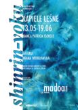 Wystawa „Kąpiele leśne” autorstwa Bianci Patrici Isensee w ramach projektu MADOA AQUA
