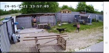 włamanie_azyl_oleśnickie bidy190166232_3924464137668069_3299316293136543642_n-20210524