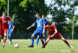 Pogoń_Oleśnica_Zachód_Sobótka_DSC_1488-20210603