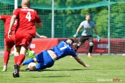 Pogoń_Oleśnica_Zachód_Sobótka_DSC_1530-20210603