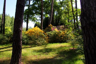 Arboretum w Stradomi Dolnej zaprasza na spacery. Godziny otwarcia w długi weekend