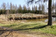 arboretum904_003-011