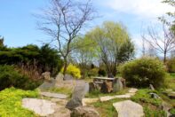 arboretum904_005-009