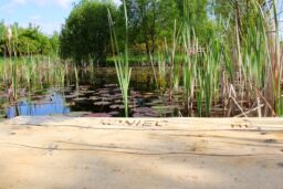 arboretum904_007-007