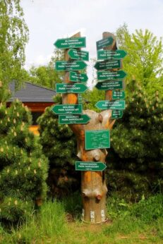 arboretum904_008-006