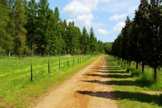 arboretum904_009-005