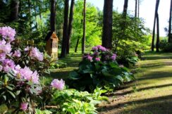 arboretum904_012-002