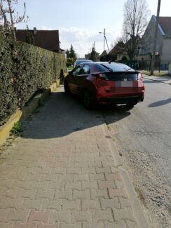 miszcze_parkowaniaauto5-20210620