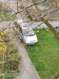 miszcze_parkowaniaauto6-20210620